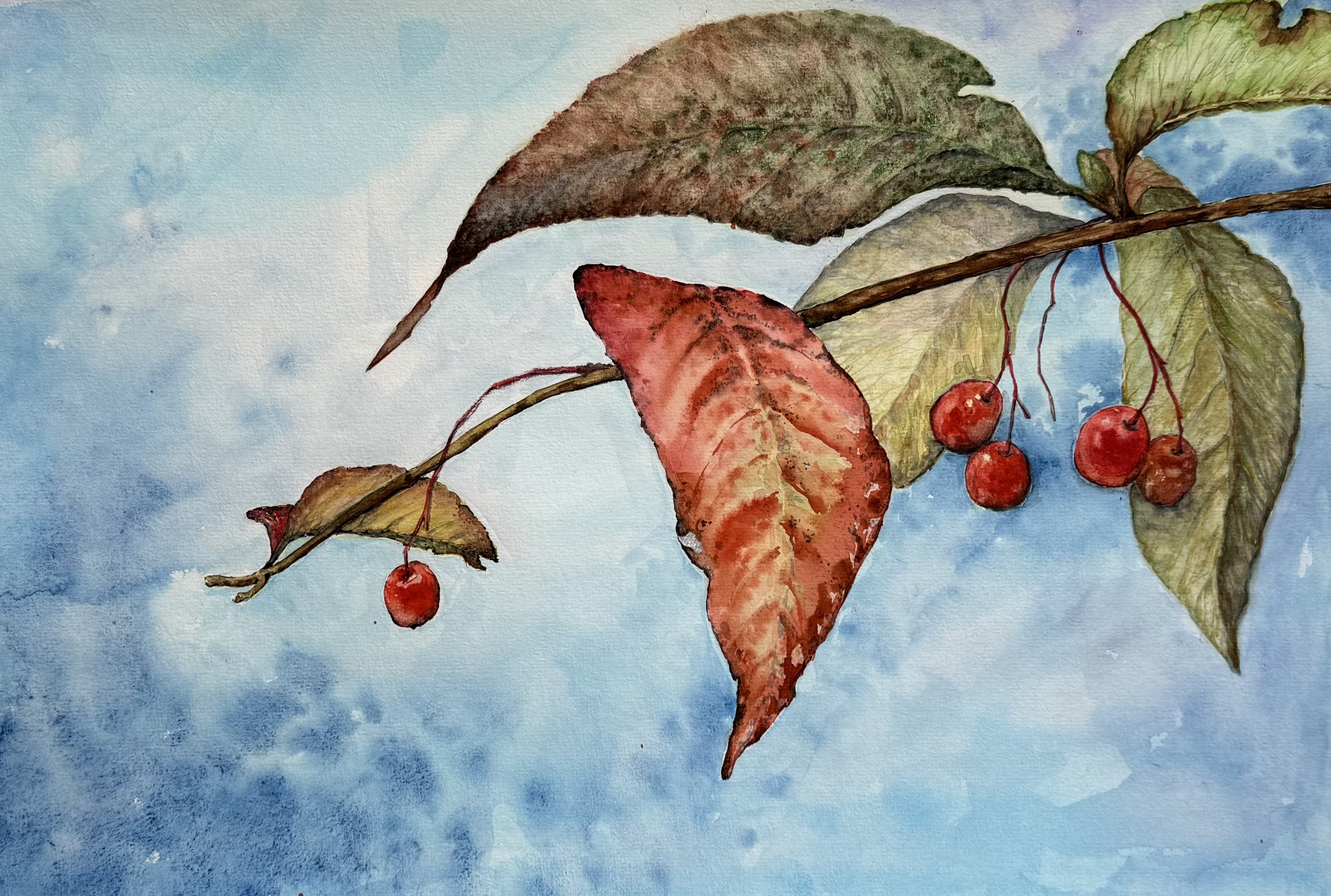 Through her exploration of colour formation, she realized that effective colour expression doesn’t require excessive paint purchases.