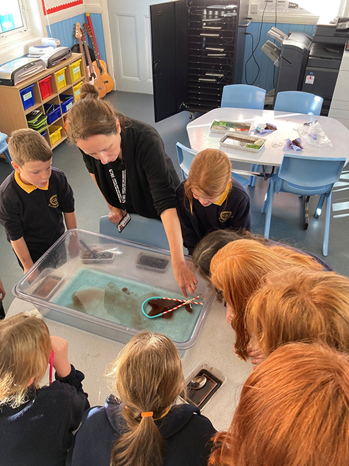 From Khao Sok to Castlebay, local schools celebrate biodiversity with UHI STEM