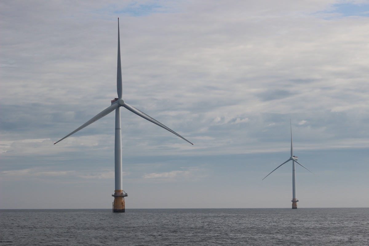 Key considerations for understanding impact of floating offshore wind on marine mammals published Key considerations for understanding impact of floating offshore wind on marine mammals published