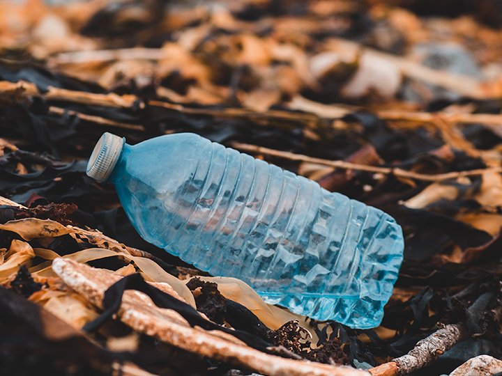plastic bottle discarded on beach