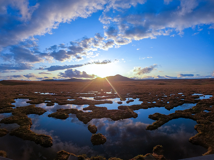 landscape shot of the flow country in Sutherland