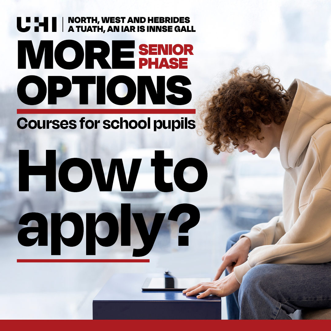 More Options Senior Phase How To Apply with student studying on computer