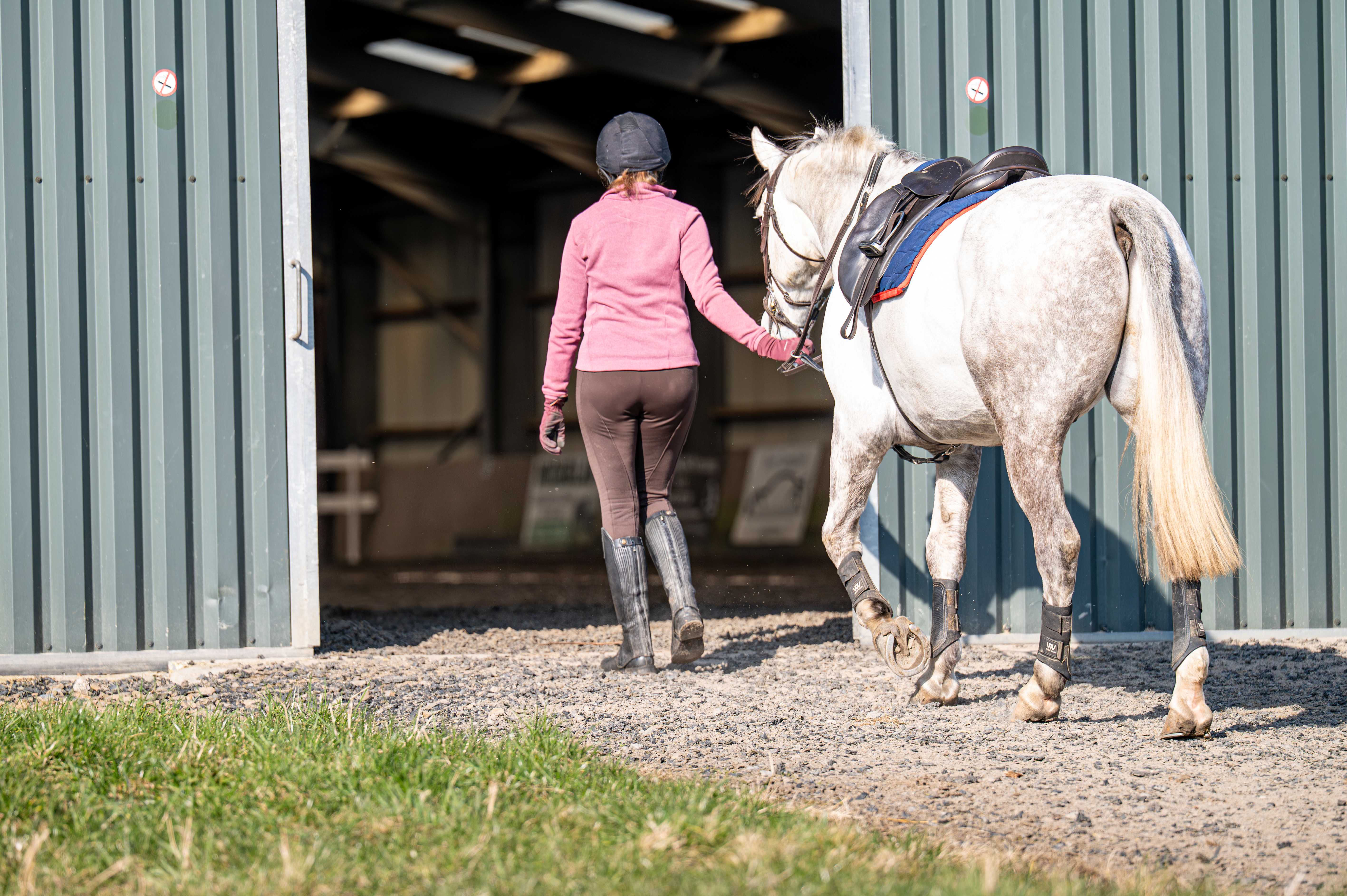 Student leading horse